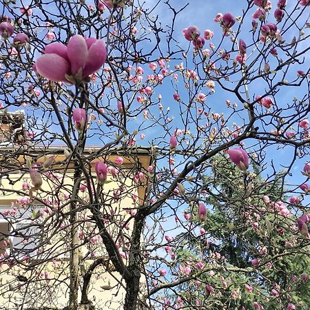 Pirc Apartment On Dunajska Street 류블랴나 외부 사진