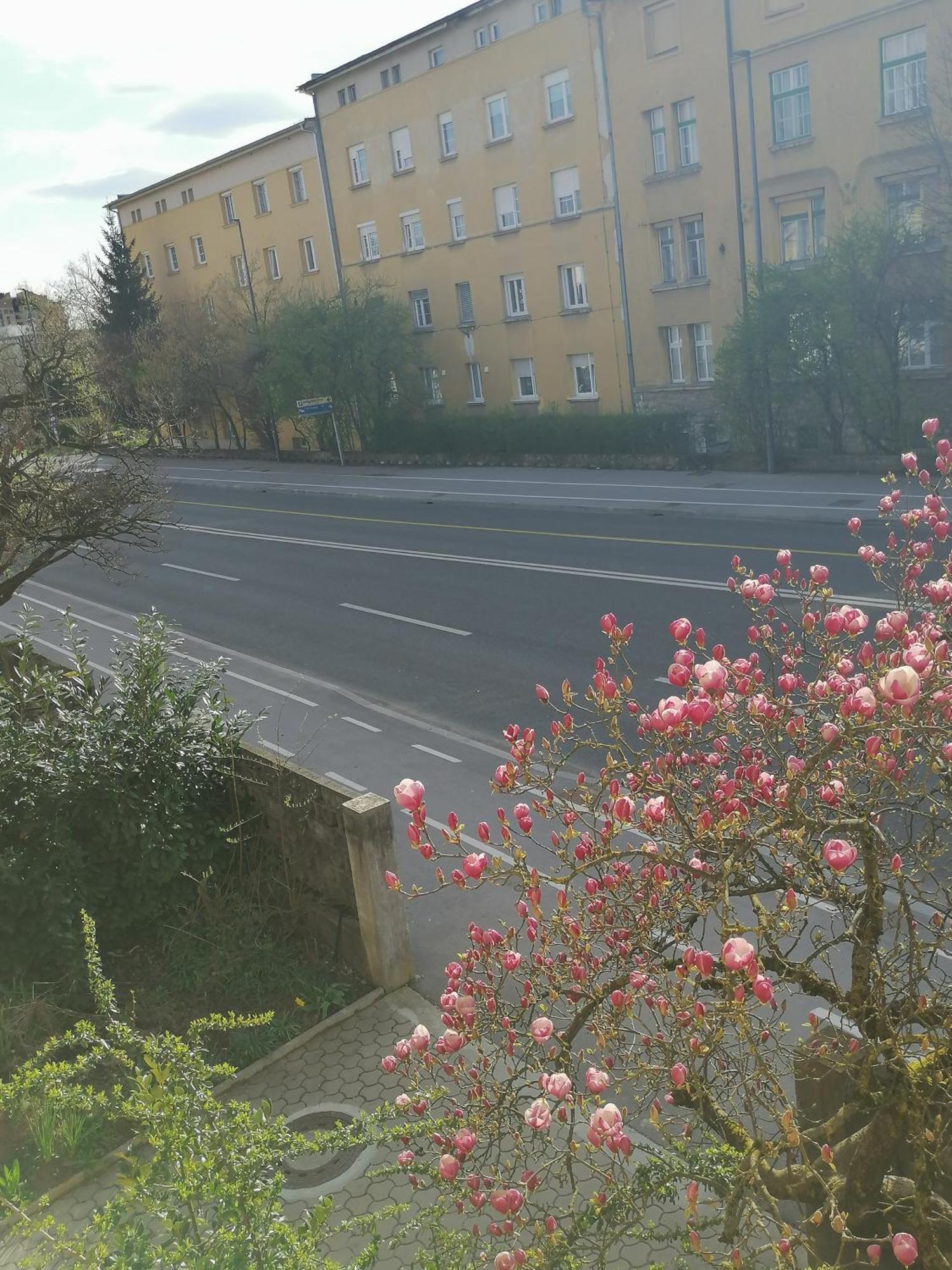 Pirc Apartment On Dunajska Street 류블랴나 외부 사진